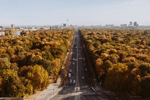 Tiergarten In Autumn Panorama