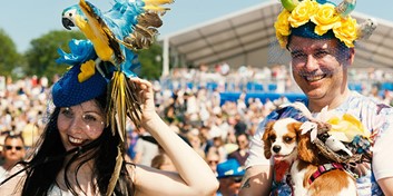 hattparad på Svensk Galopps nationaldagsgaloppen