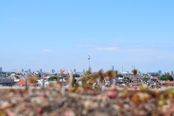 Berlin Skyline