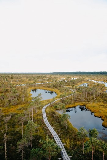 Great Kemeri Bog Boardwalk