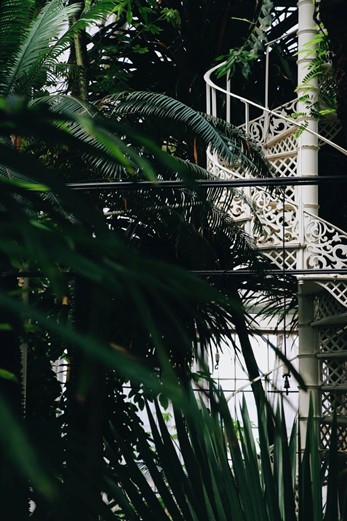 Botaniska trädgården