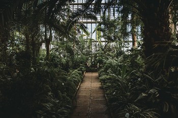 Palm House at the Botanical Gardens in Riga
