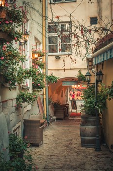 An alley in Old Town Tallinn with cobblestones and roses