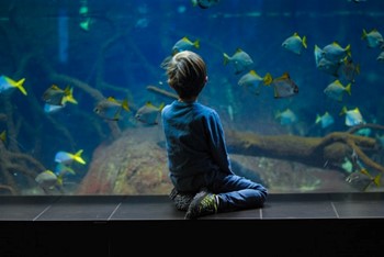 SEA LIFE Helsinki