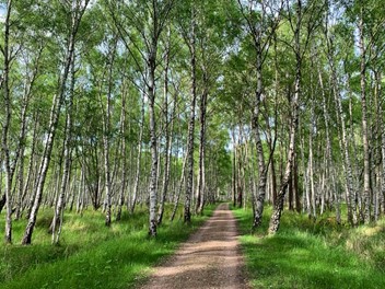 Amager Naturpark