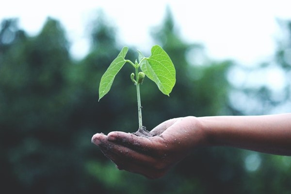 Hand Soil Sustainability