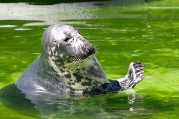 Tallinn Zoo