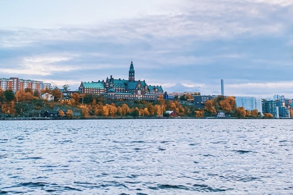 Stockholm Autumn Foliage