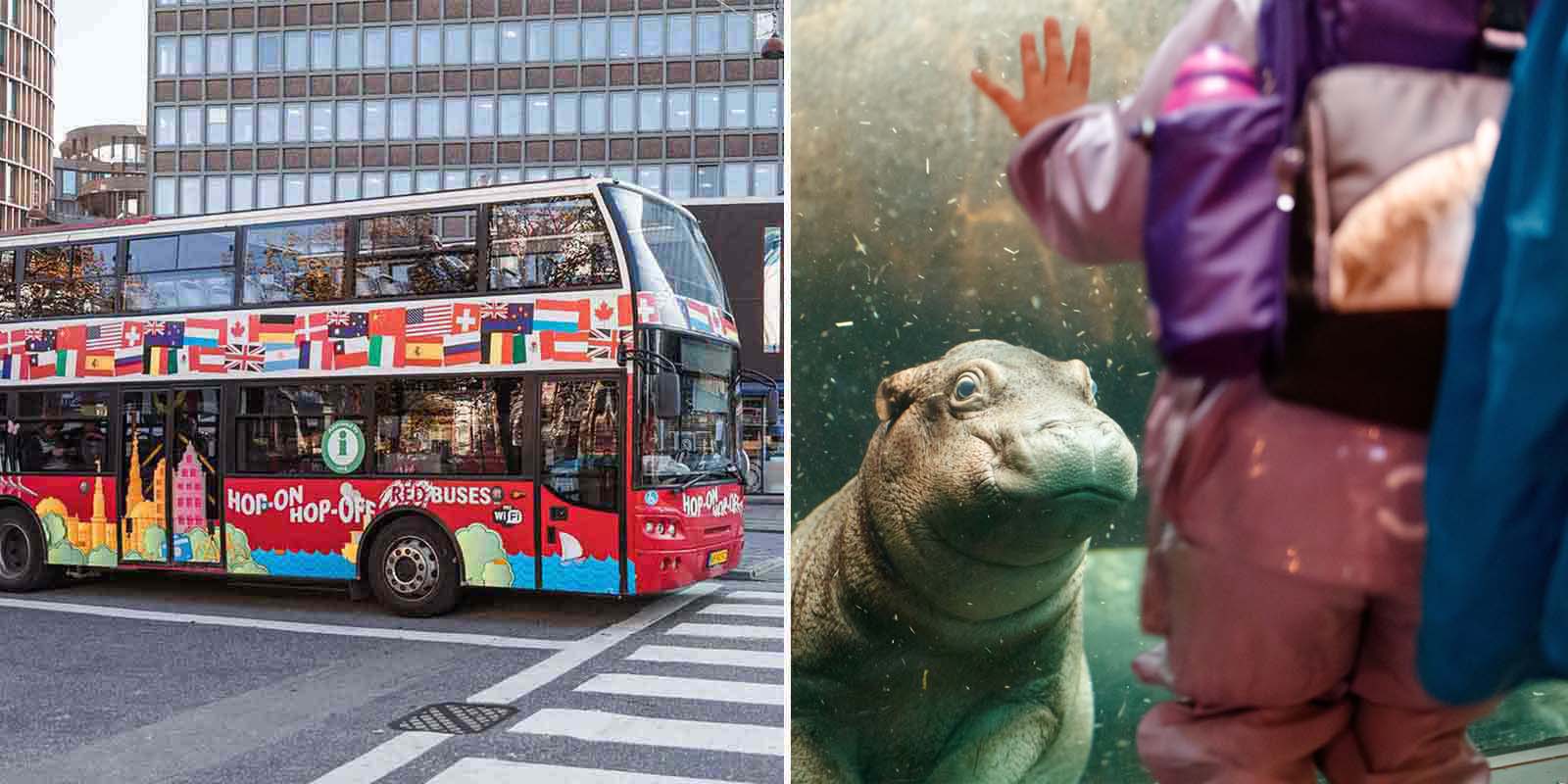 Copenhagen Bus ZOO