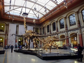 Natural History Museum