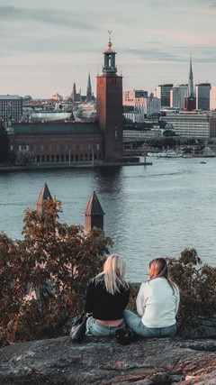 View from Skinnarviksberget