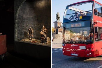 Stockholm Bus + Viking Museum
