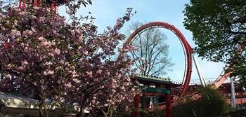 Tivoli garden and rides